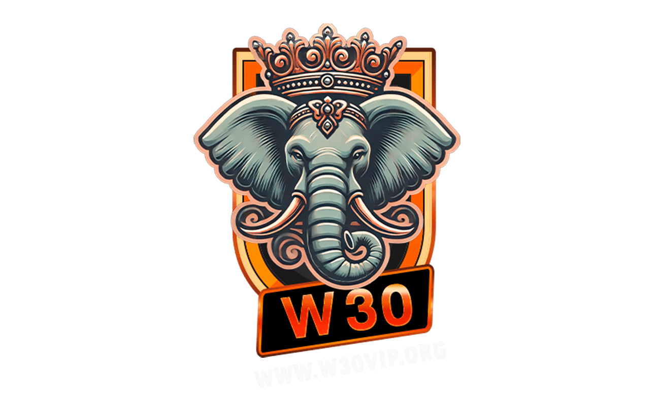 w30vip.org